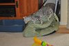 DSC_0038.JPG