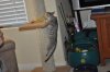 DSC_1794.JPG