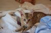 dsc_0190r.jpg