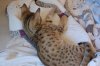 dsc_0200r.jpg