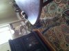 photo (8).JPG