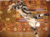 xumi stretch 8-31-12.jpg