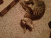 IMG00467-20120908-2044.jpg