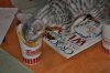 DSC_0015.JPG