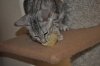 DSC_0030.JPG