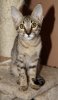 DSC03620.JPG