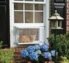 cat_veranda.jpg