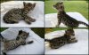 Recently_Updated110.jpg