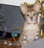 091912-agenor-3_web.jpg