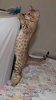 092312-agenor_web.jpg