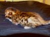 Big boy 01-26-08 03.jpg
