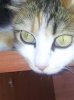 2012-06-17 16.12.32.jpg