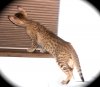 100412-tau-1_web.jpg