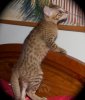 100412-tau-3_web.jpg