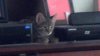 2012-10-04_13-17-34_537.jpg