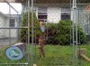 2012-10-10_09-05-22_306.jpg