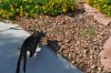 DSC_0203.JPG