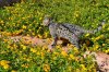 DSC_0193.JPG