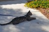 DSC_0206.JPG