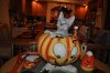 DSC_0168.JPG