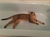 ImageUploadedByTapatalk1350825731.305846.jpg