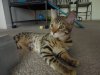 DSC02044.JPG