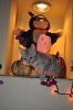 DSC_0369.JPG
