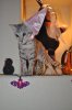 DSC_0379.JPG
