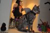 DSC_0387.JPG
