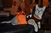 DSC_0401.JPG