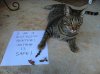 ImageUploadedByTapatalk1351887970.386160.jpg