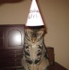 xumi birthday 2 11-10-12.jpg