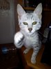 20121030_153920.jpg