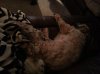 20121105_200732.jpg