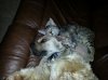 20121014_211711.jpg