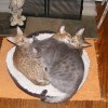 DSCF8968.jpg