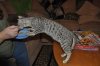 DSC_0444.JPG