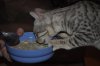 DSC_0446.JPG