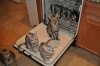 DSC_0524.JPG