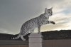 DSC_0531.JPG
