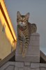 DSC_0546.JPG