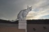 DSC_0533.JPG