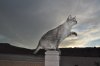 DSC_0535.JPG