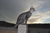 DSC_0549.JPG