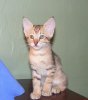 DSCF6488.jpg