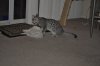 DSC_0586.JPG