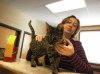 Nov25-12-Kissy-vet-FB.jpg