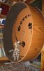 dazzle wheel2.jpg