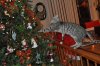 DSC_0720.JPG DSC_0720.JPG