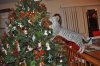 DSC_0721.JPG DSC_0721.JPG